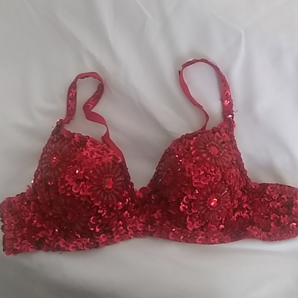 Belly Dancing Costume Bra
